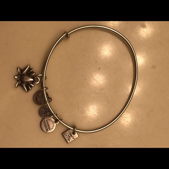 Alex and Ani bracelets - Picture 6 of 6